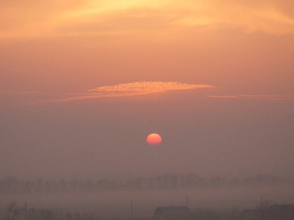 Андрей Новаковец