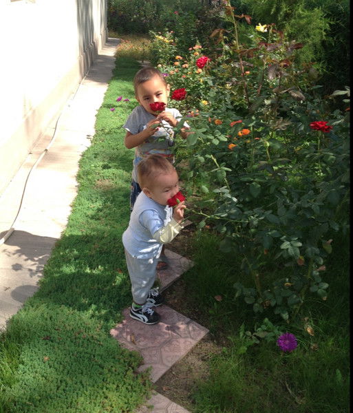 Кубат Толгонай=Ариет И Азирет Любов