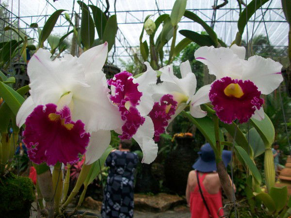 Мария Васильевна Земерова