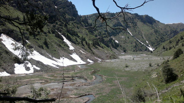 Максат Жуматаев