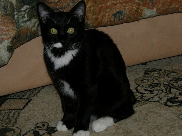 Дамир Сяйдяфаров