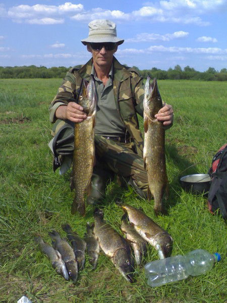 Александр Логинов