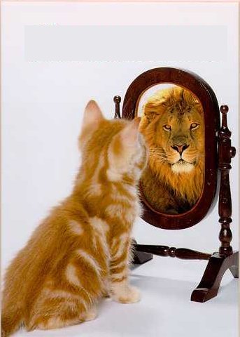 Татьяна Пустовит