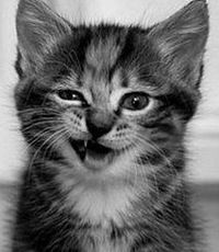 Павел Кочетков