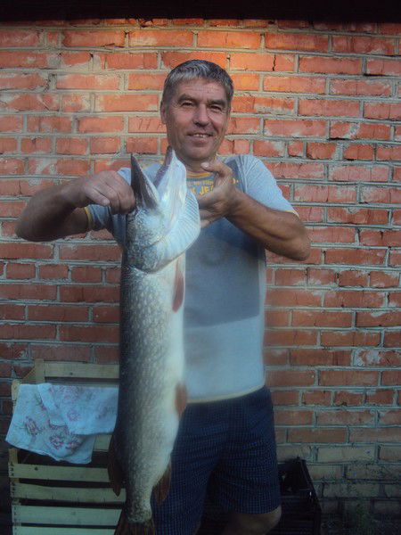 Александр Кудряшов