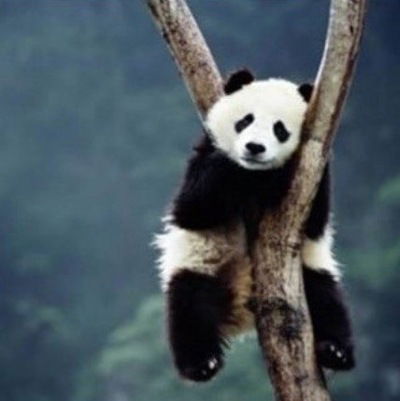 Мария Кудряшова