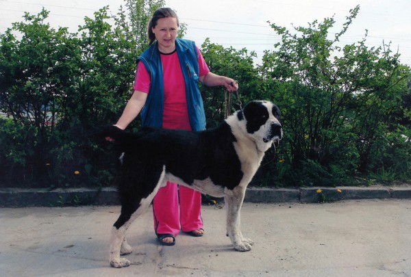 Людмила Жигленко