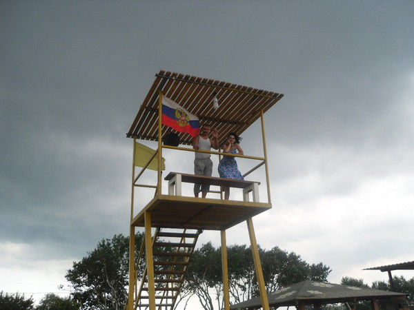 Александр Холодов