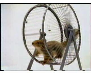 Алексей Шишигин