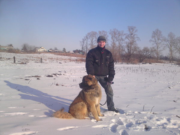 Андрей Неверов