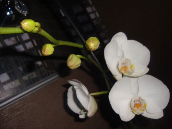 Гузель Андарзянова