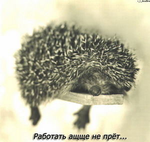 Ольга Павлова