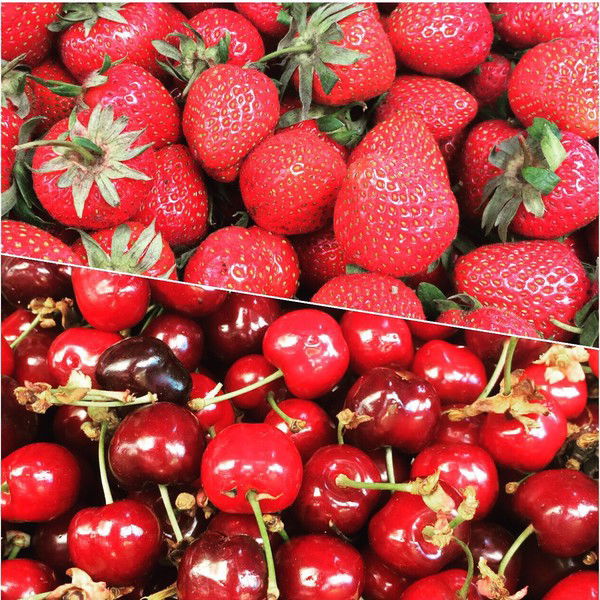 Лилия Мудрак