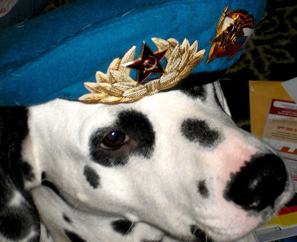 Сергей Кристьян