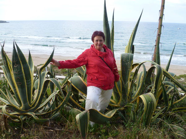 Наталья Струнина