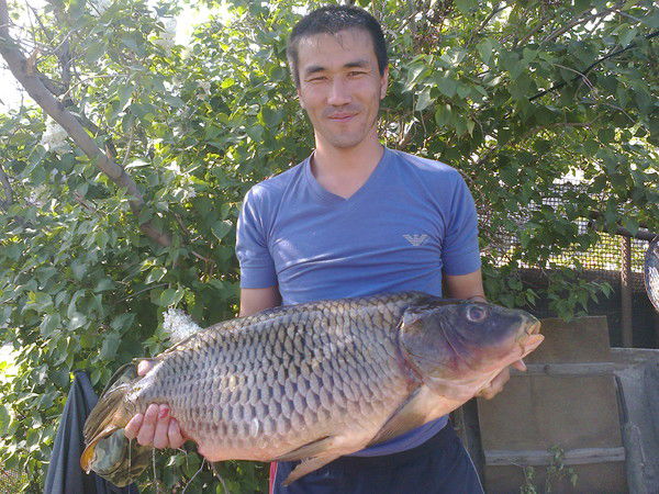 Самат Бисембаев