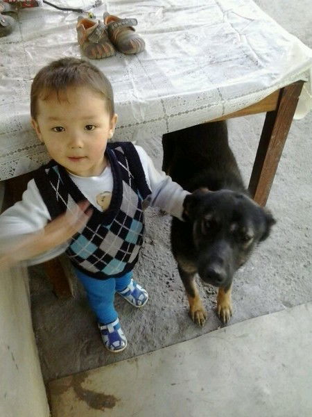 Перизат Исаева