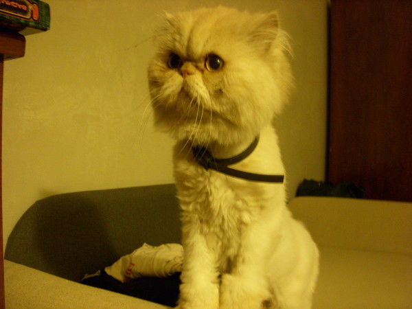 Татьяна Воробьева