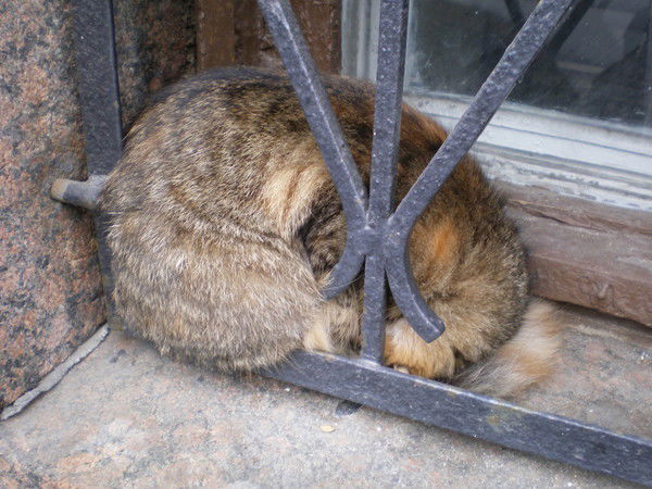 Александр Владыкин