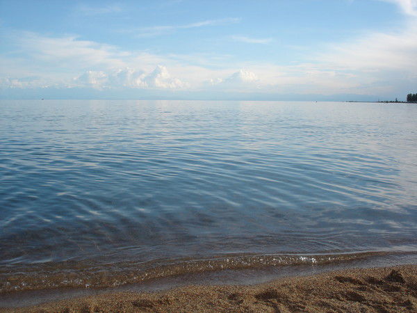 Элька Алыбекова