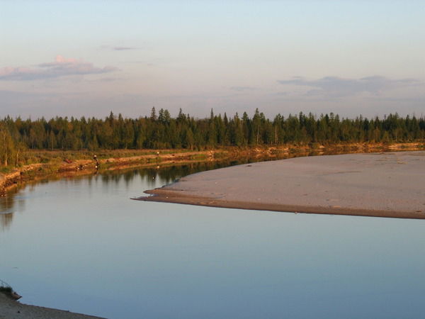 Надежда Сипкина