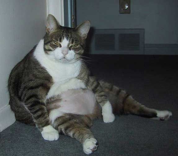 Тимур Дидигов