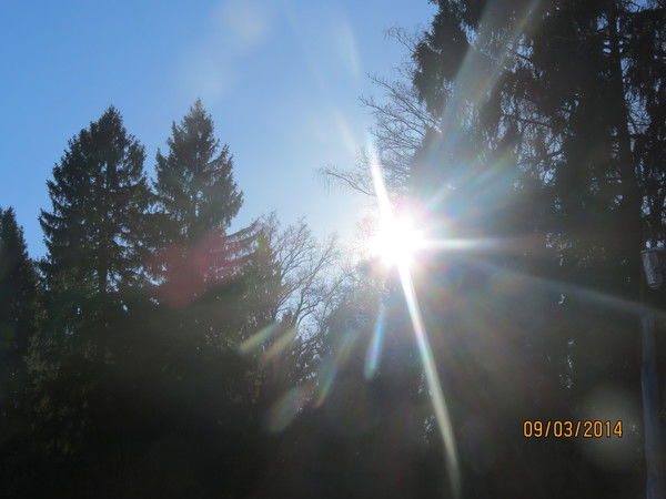 Любовь Венгрина