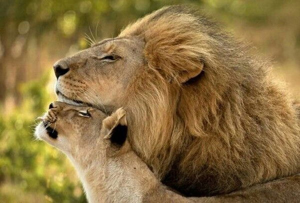 Эльдар Айгерим