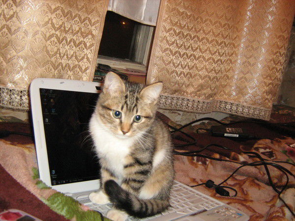 Дмитрий Усов