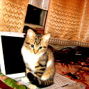 Дмитрий Усов