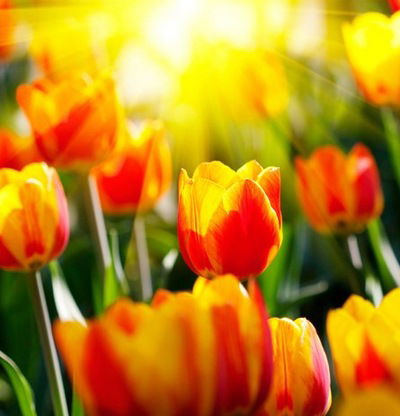 Наталья Гранкина