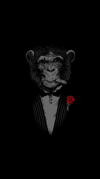 Богдан Рымарук