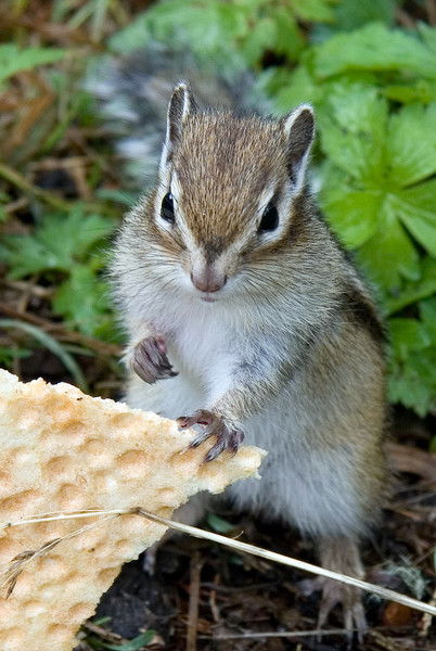 Александр Бурашников