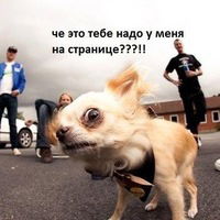 Злата Львова