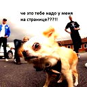 Злата Львова