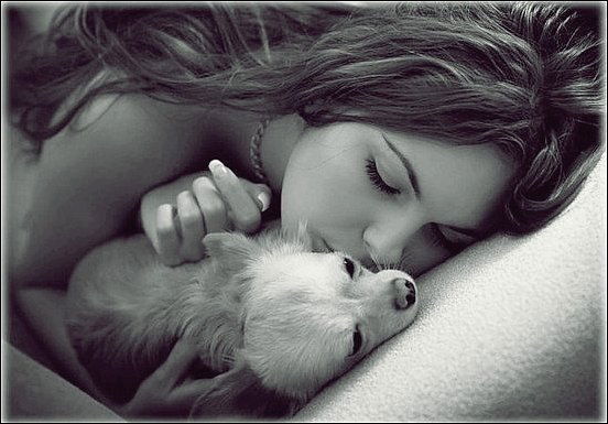 Алька Алька