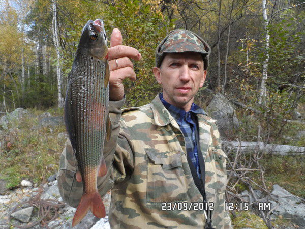 Андрей Лисин