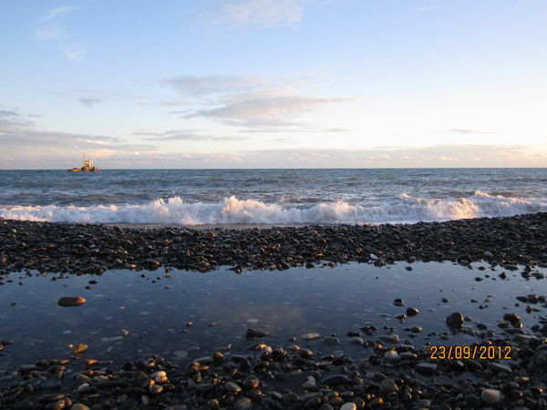 Евгения Васина