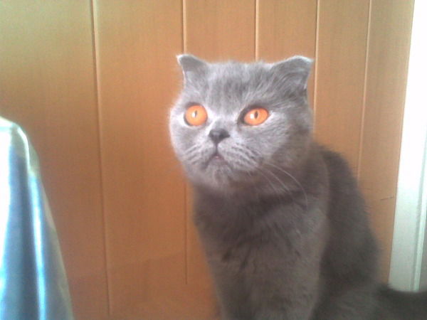 Александр Рудовский