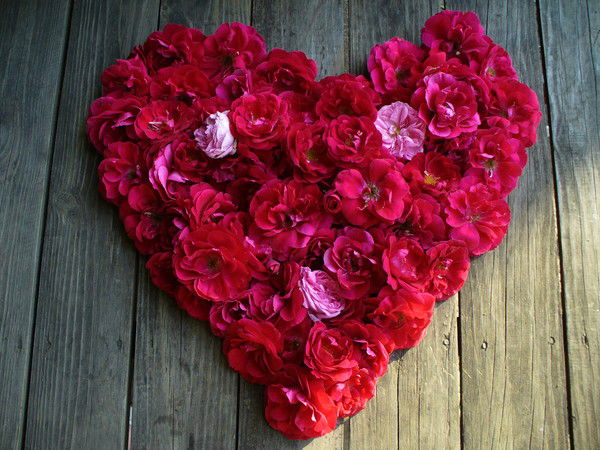 Ольга Ризниченко