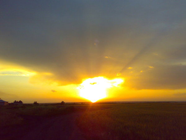 Елена Тугушева