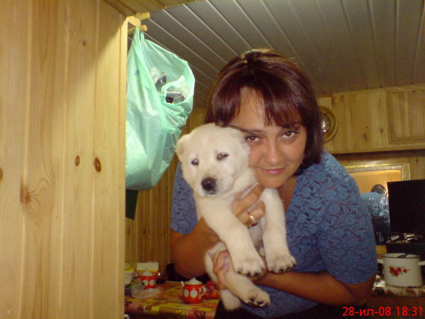 Елена Максимова