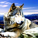 Антон Давыдов