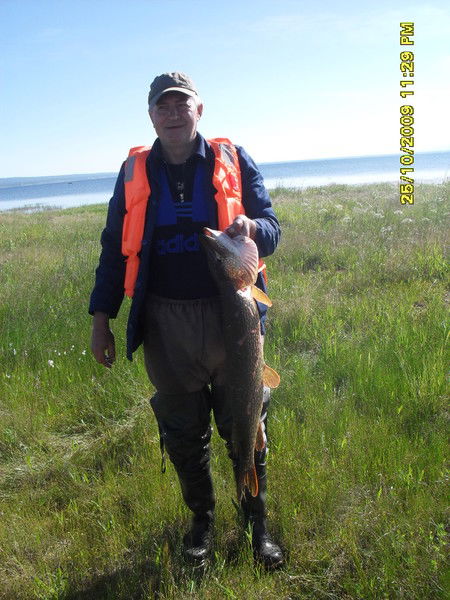 Александр Воловик