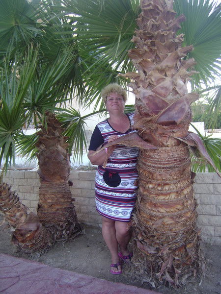 Ольга Рагузина (Парошина)