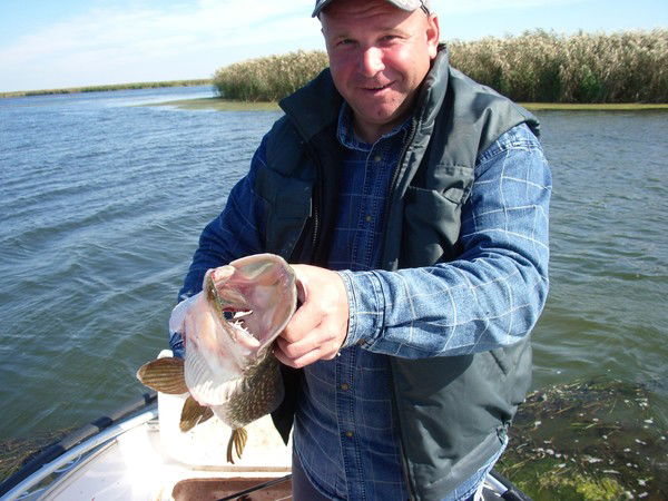 Валерий Сызганцев