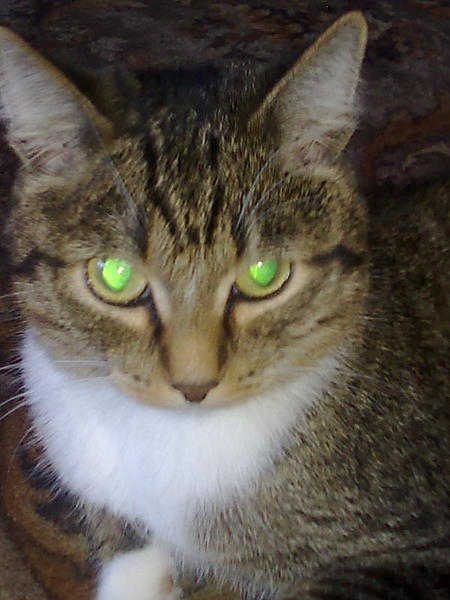 Евгений Артюхов