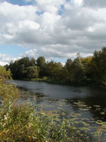 Лариса Мельникова