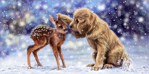 Анастасия Линдеманн