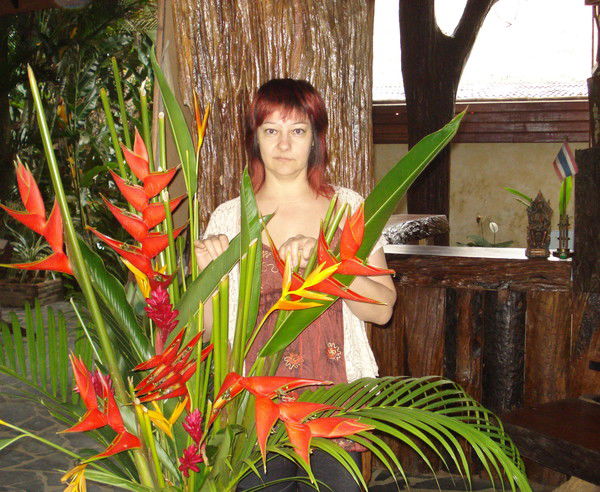 Елена Плохова